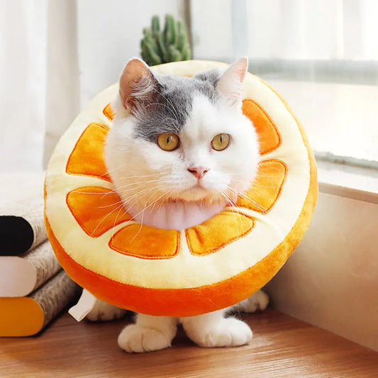 Elizabethan Style Cat Recovery Collar:  Fruit Shaped, Adjustable, Cotton Fabric Prevents Neck Chafe,