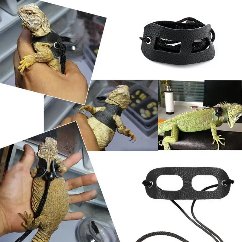 LIZARD LEASH: Lizards, Iguanas,, Reptiles; Traction Rope Pet Outdoor Carrying Walking Harness, Leather Traction Rope For Small Pet