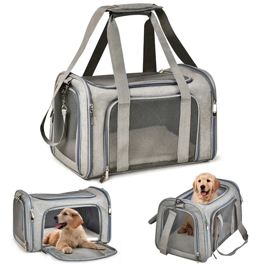 AIRLINE APPROVED Small Dog / Cat Carry On Bag:  Soft Sided Pet Carrier.