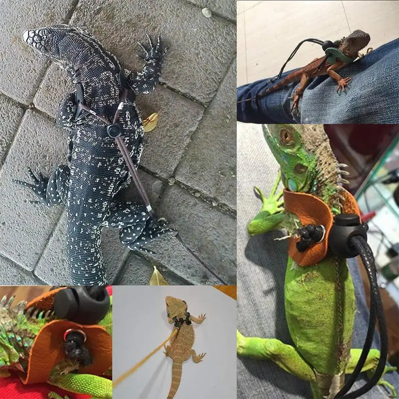 LIZARD LEASH: Lizards, Iguanas,, Reptiles; Traction Rope Pet Outdoor Carrying Walking Harness, Leather Traction Rope For Small Pet