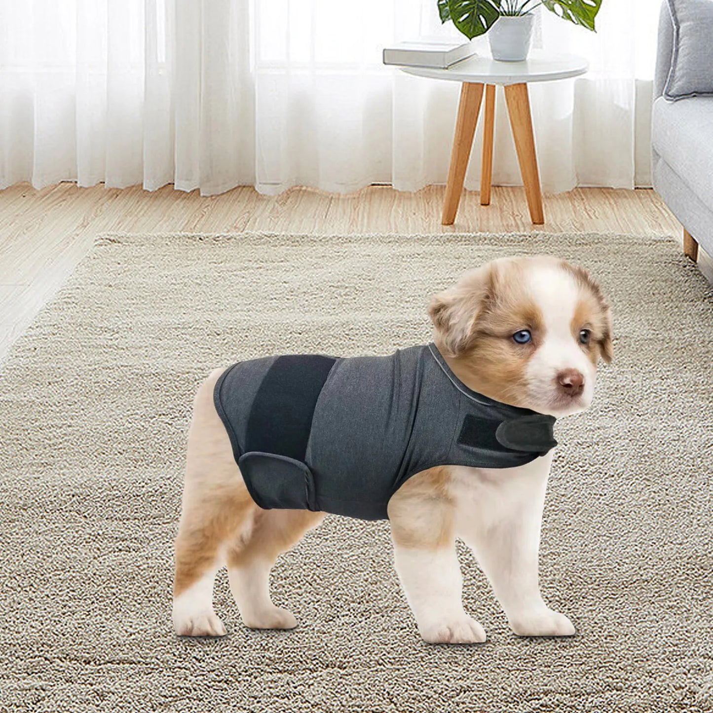 THUNDER JACKET: Classic Dog Anxiety Jacket, Breathable Dog Calming Vest For Anxiety Stress Relief