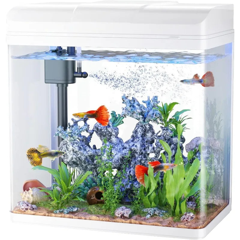 Betta Fish Starter Kit: Glass Aquarium with Air Pump, LED Cool Lights. 3 sizes (1.7gal,3gal,5gal) Tabletop Small Fish Habitat