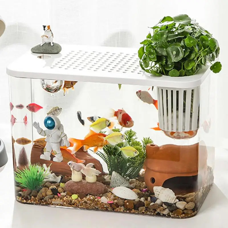 Table top Decorative Fish / Turtle Tank Aquarium /Breeding Tank