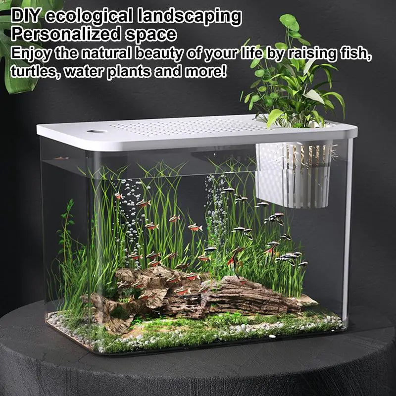 Table top Decorative Fish / Turtle Tank Aquarium /Breeding Tank