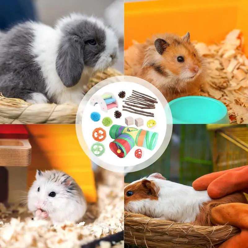 22 piece Chew and Exercise toys For Hamster Cage.