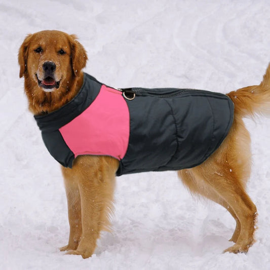 Waterproof Pet Vest/Jacket: Winter Dog Clothes, Padded, Zipper Closure, Step In Coat. Sizes for All Dogs.