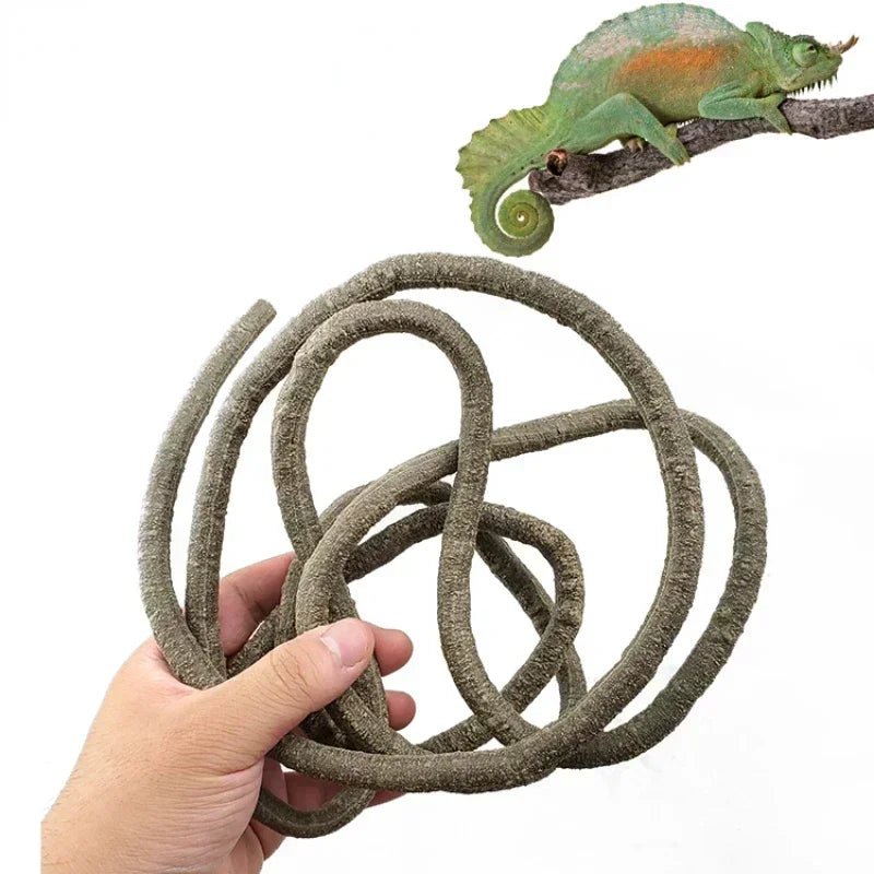 Large Bendable Rattan Jungle Branches for Reptiles Terrarium Decor 1.5/2.5/3m