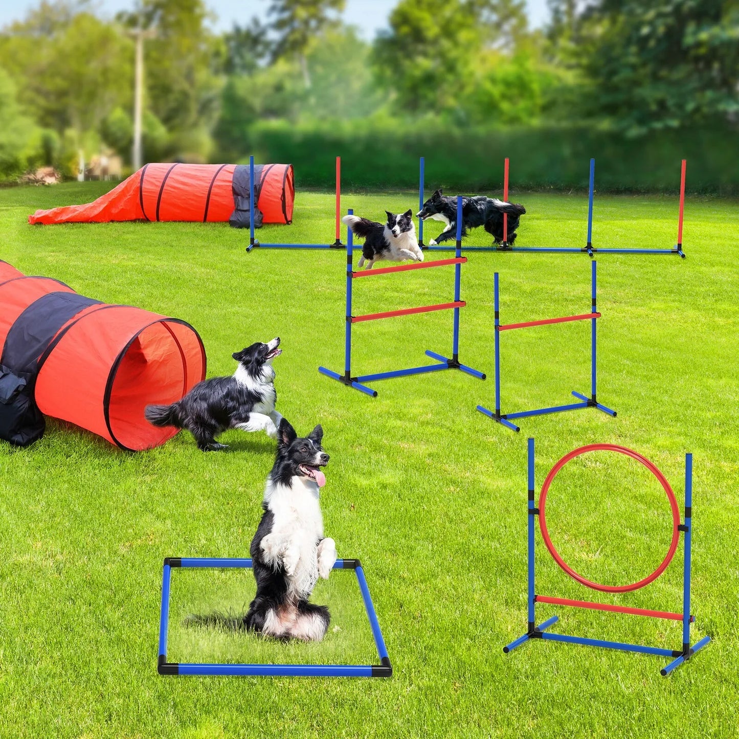 Dog Agility Training Equipment Kit : Pet Outdoor Obstacle Course Starter Kit -