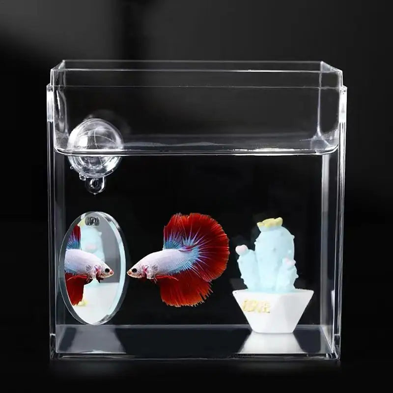 Acrylic Betta Mirror:  Fish Tank Floating Round Mirror For Betta & Flowerhorn Training 4cm/5cm/6cm/7cm/8cm/9cm/10cm