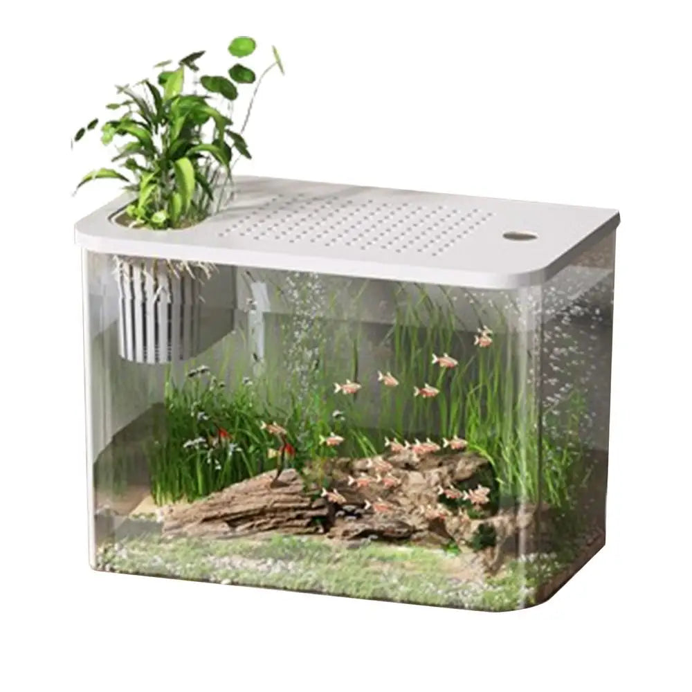 Table top Decorative Fish / Turtle Tank Aquarium /Breeding Tank