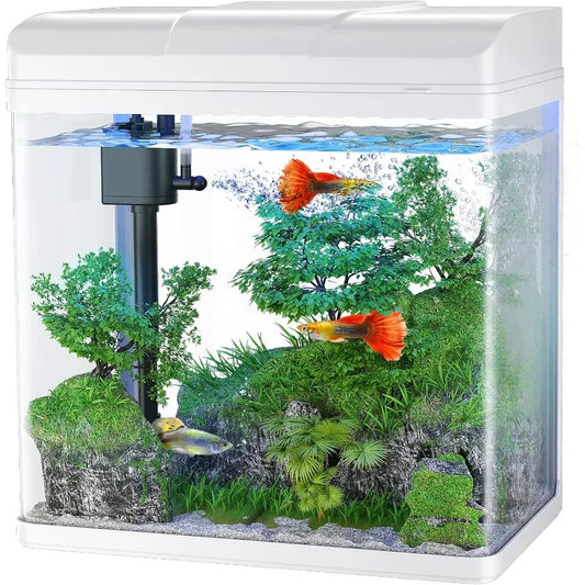 Betta Fish Starter Kit: Glass Aquarium with Air Pump, LED Cool Lights. 3 sizes (1.7gal,3gal,5gal) Tabletop Small Fish Habitat