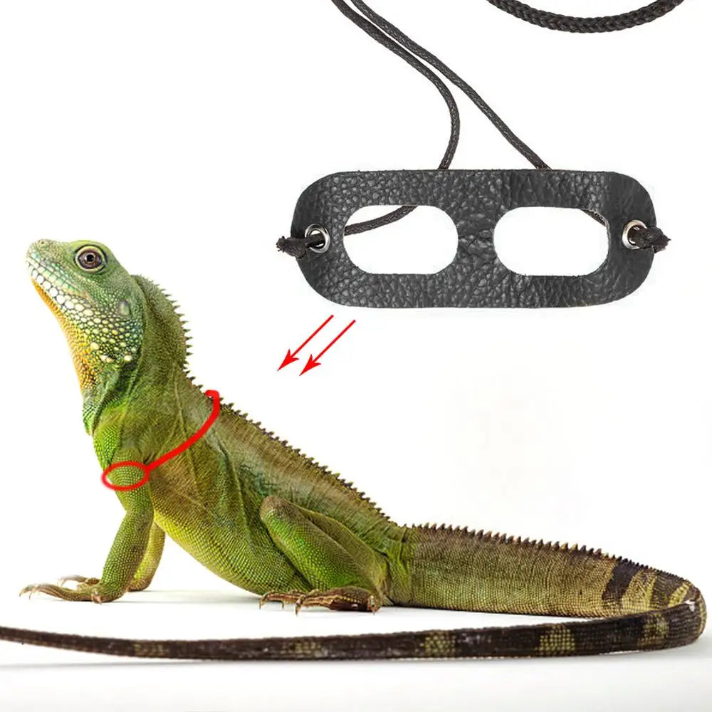 LIZARD LEASH: Lizards, Iguanas,, Reptiles; Traction Rope Pet Outdoor Carrying Walking Harness, Leather Traction Rope For Small Pet