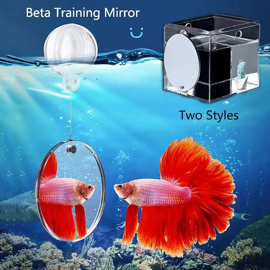 Acrylic Betta Mirror:  Fish Tank Floating Round Mirror For Betta & Flowerhorn Training 4cm/5cm/6cm/7cm/8cm/9cm/10cm